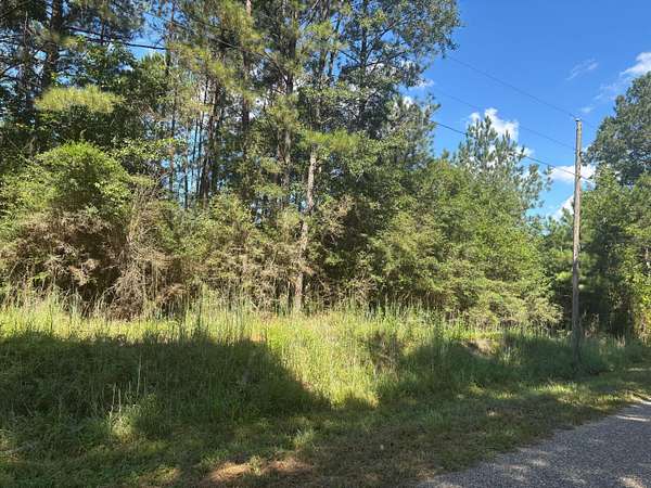 13.2 Acres of Recreational Land for Sale in Oak Vale, Mississippi