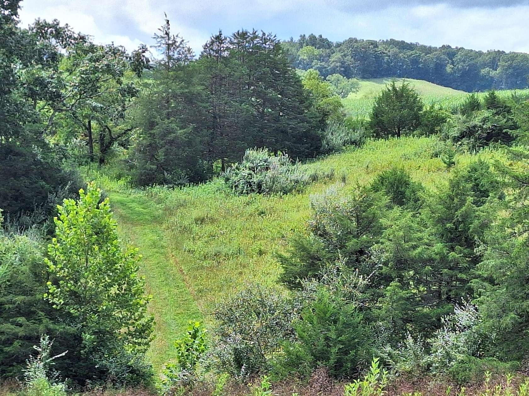 30 Acres of Agricultural Land for Sale in Lexington, Virginia