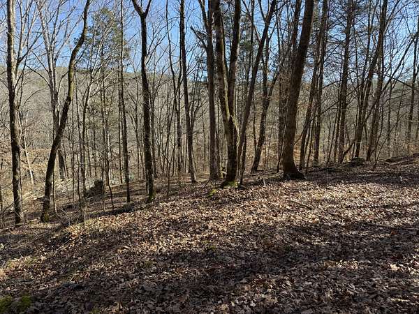 113 Acres of Recreational Land for Sale in Waynesboro, Tennessee