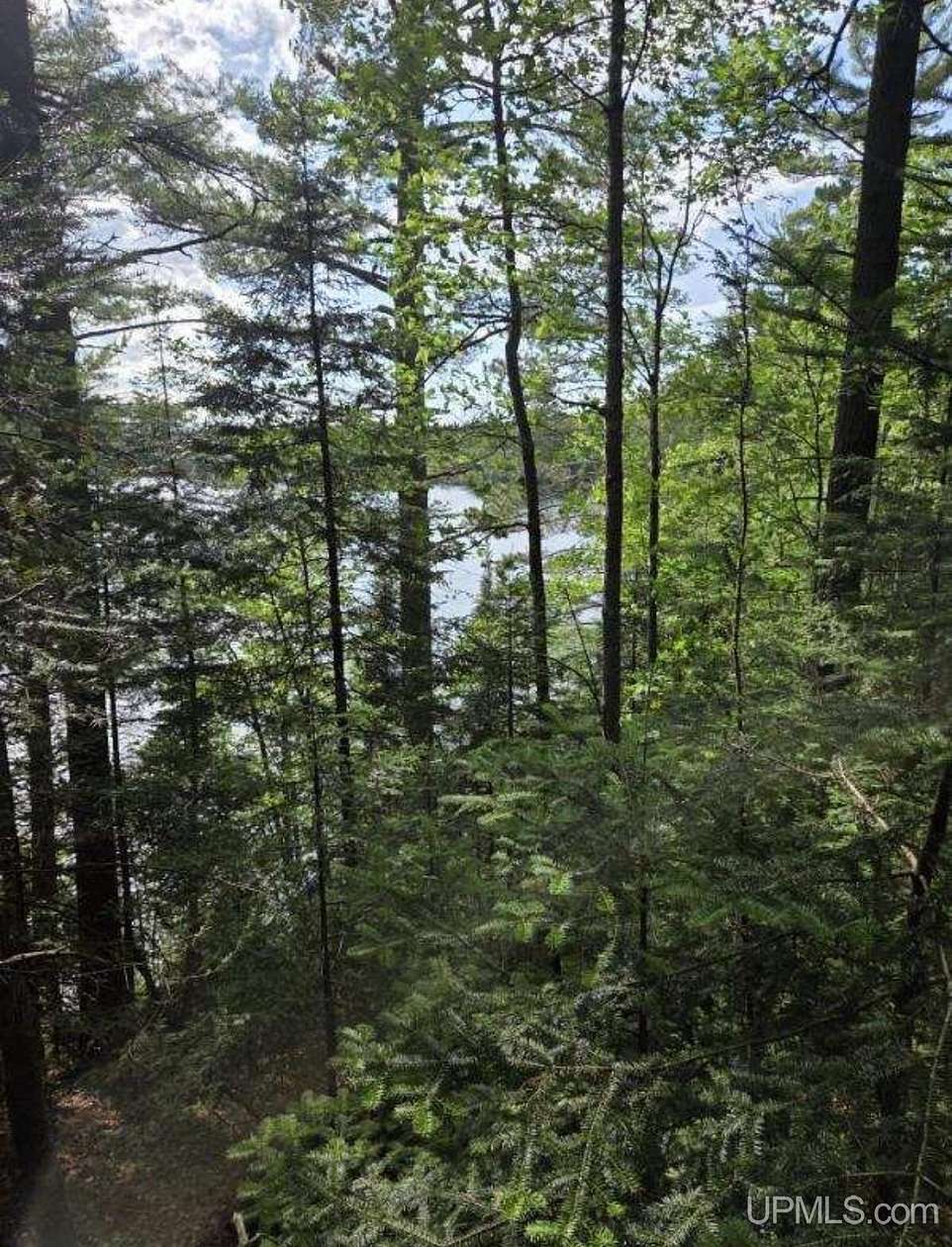 0.43 Acres of Residential Land for Sale in Iron River Township, Michigan