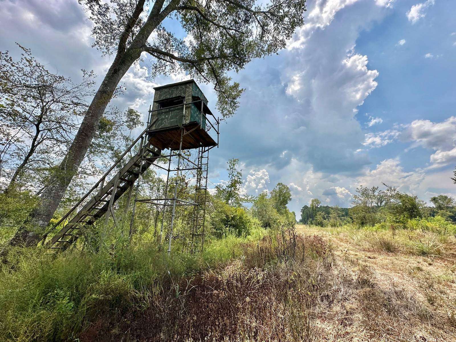 255 Acres of Recreational Land for Sale in Terry, Mississippi