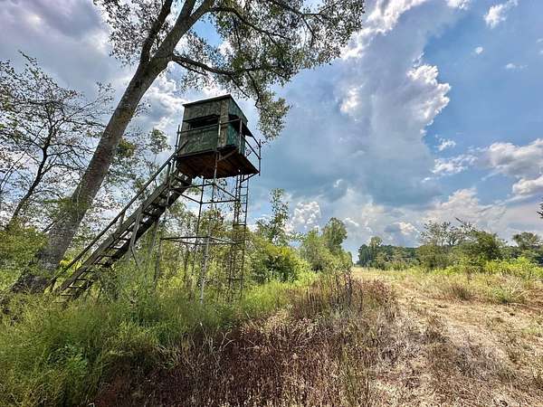 255 Acres of Recreational Land for Sale in Terry, Mississippi