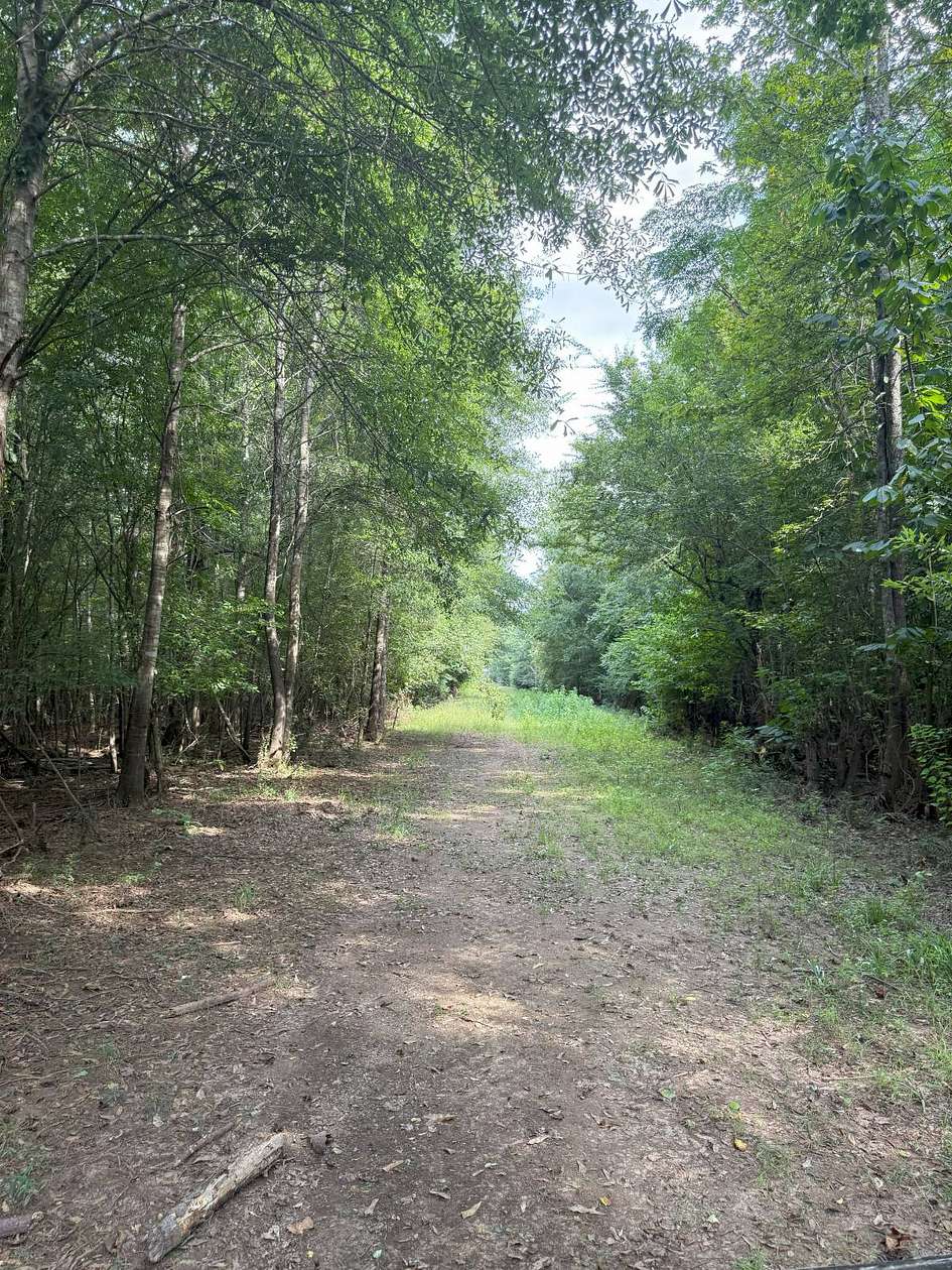 785 Acres of Recreational Land & Farm for Sale in Hodge, Louisiana