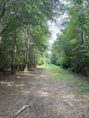 785 Acres of Recreational Land & Farm for Sale in Hodge, Louisiana