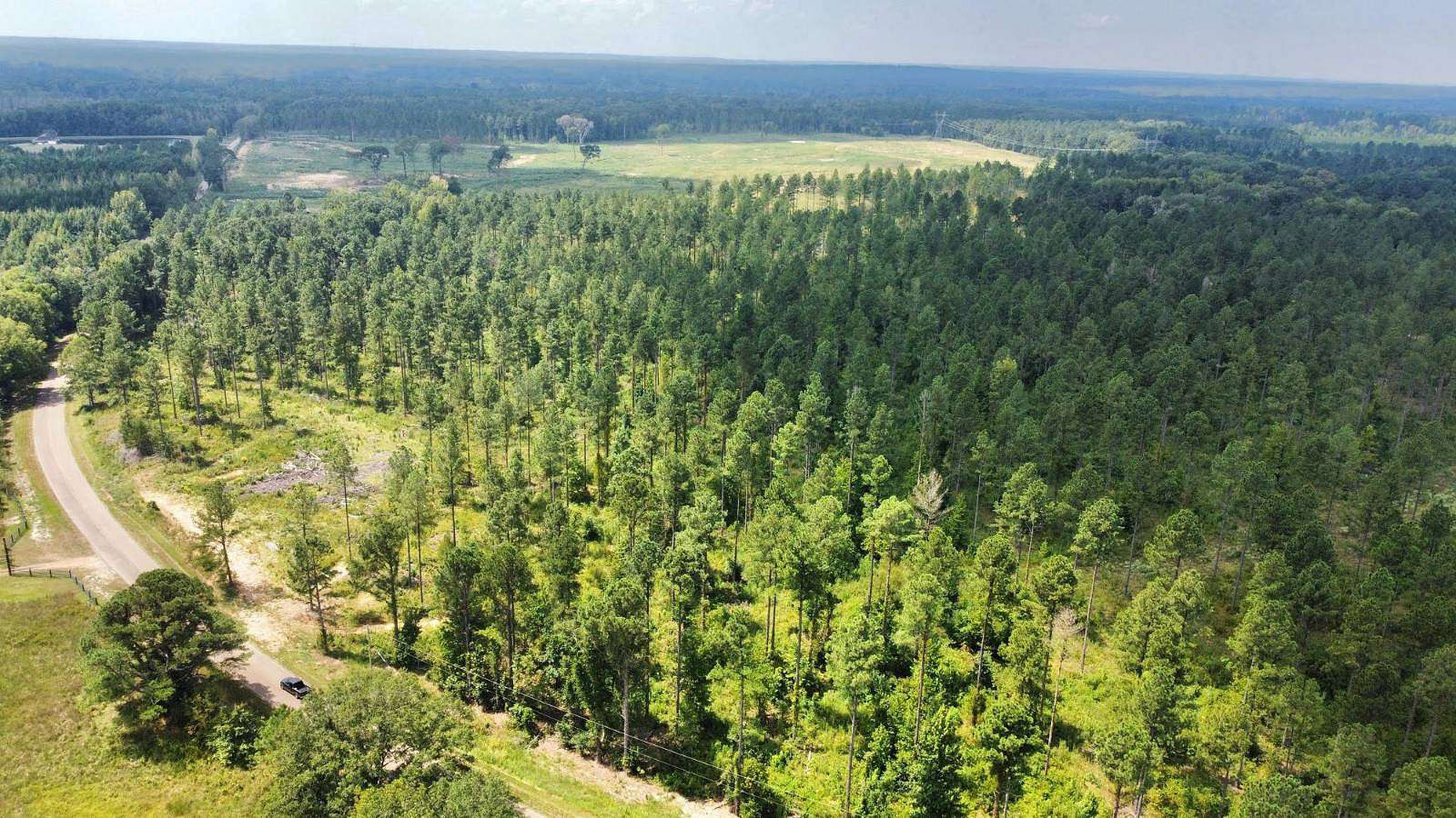 62 Acres of Recreational Land for Sale in Terry, Mississippi