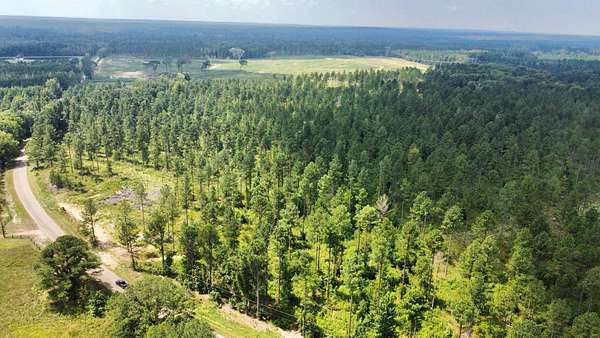 62 Acres of Recreational Land for Sale in Terry, Mississippi