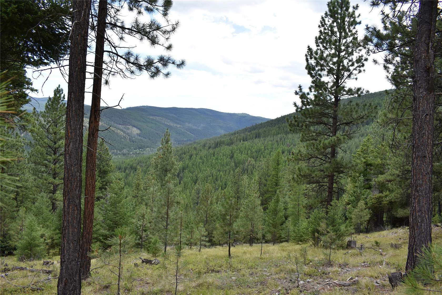 40 Acres of Recreational Land for Sale in Kila, Montana