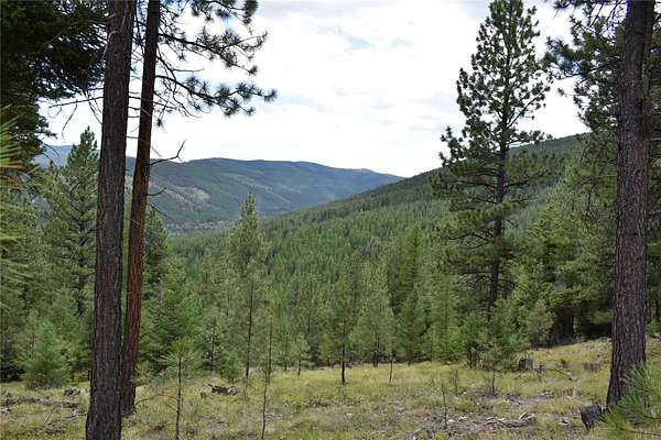 40 Acres of Recreational Land for Sale in Kila, Montana