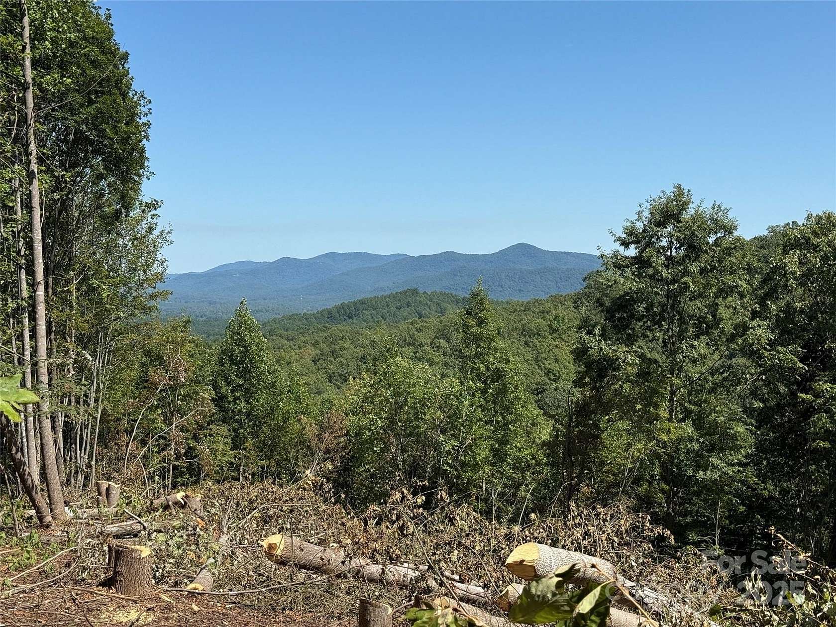 10.4 Acres of Recreational Land for Sale in Nebo, North Carolina