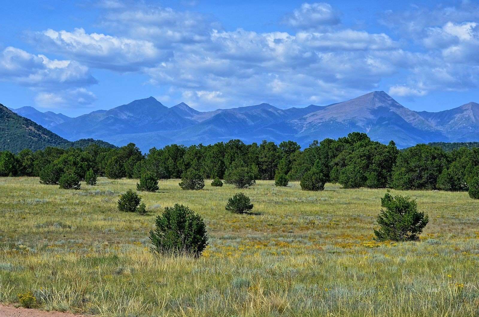 4.4 Acres of Residential Land for Sale in Cotopaxi, Colorado