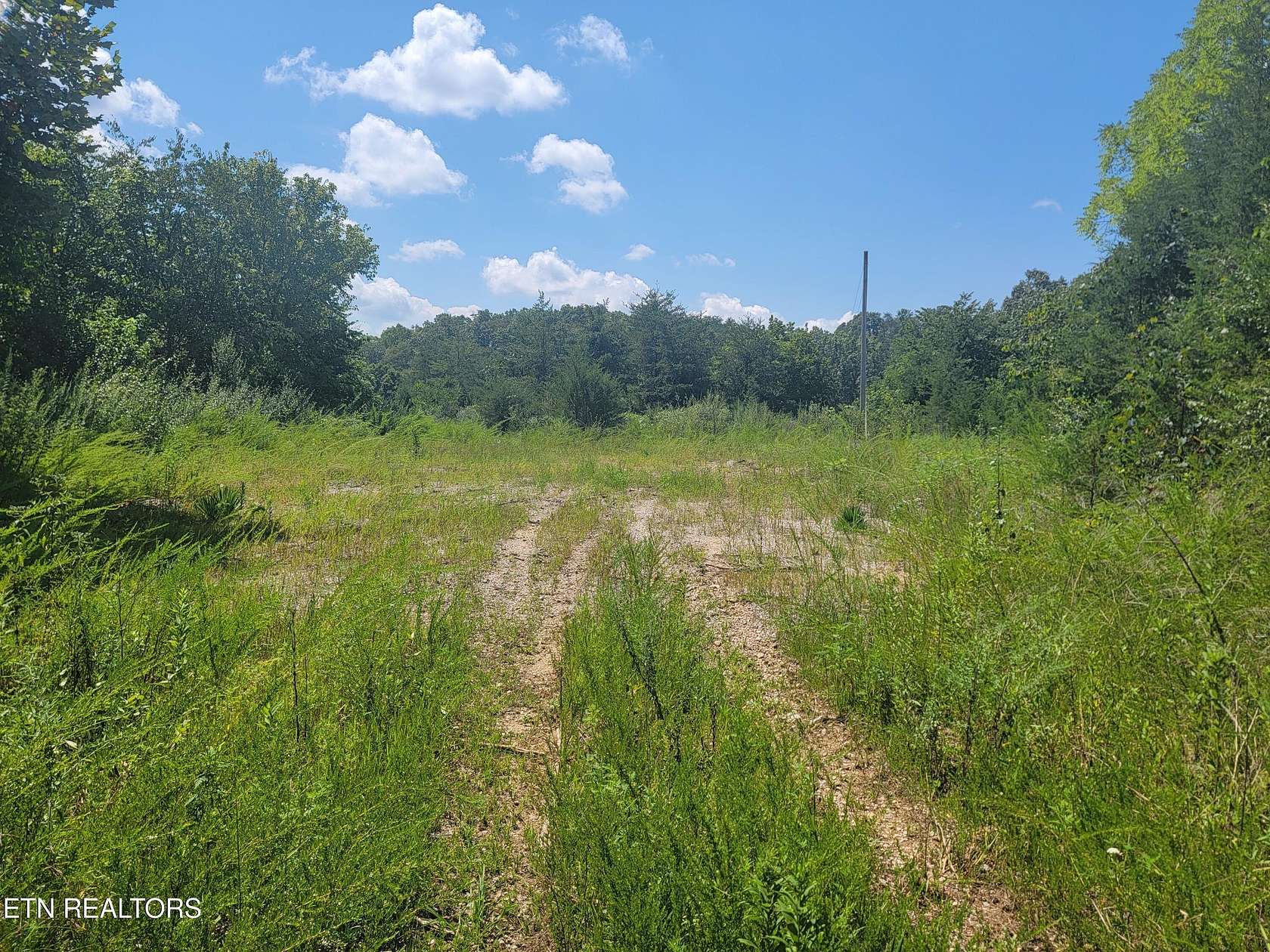 18 Acres of Agricultural Land for Sale in Maynardville, Tennessee