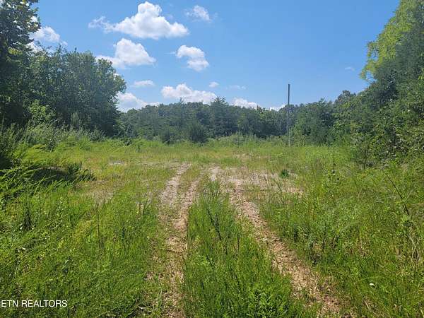 18 Acres of Agricultural Land for Sale in Maynardville, Tennessee