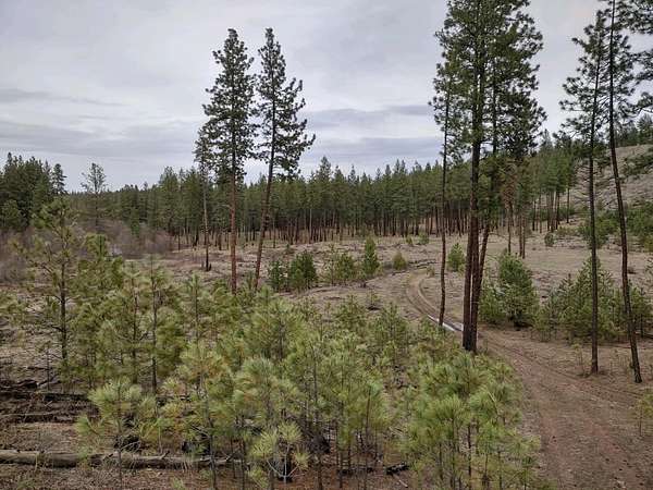 157 Acres of Recreational Land for Sale in Ford, Washington