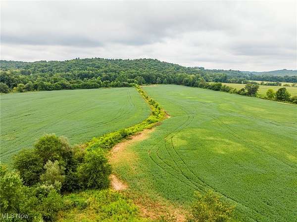 23.5 Acres of Agricultural Land for Auction in Coshocton, Ohio