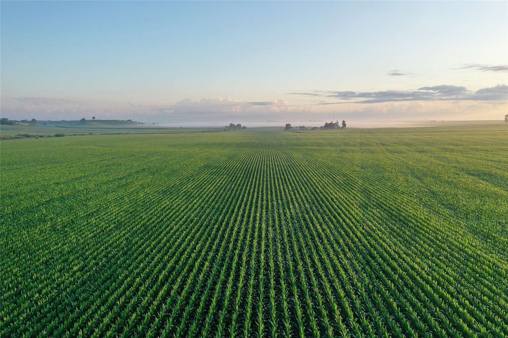 160 Acres of Recreational Land & Farm for Auction in Blairstown, Iowa