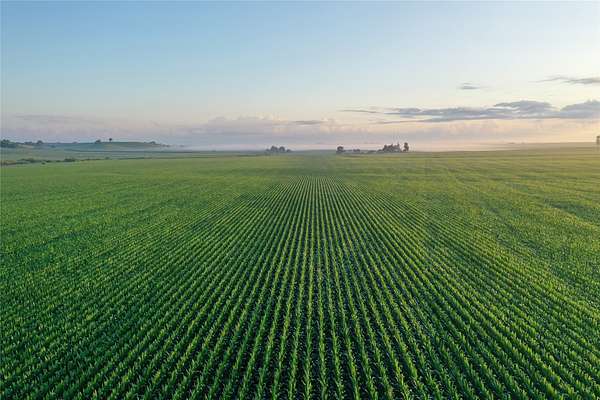 160 Acres of Recreational Land & Farm for Auction in Blairstown, Iowa