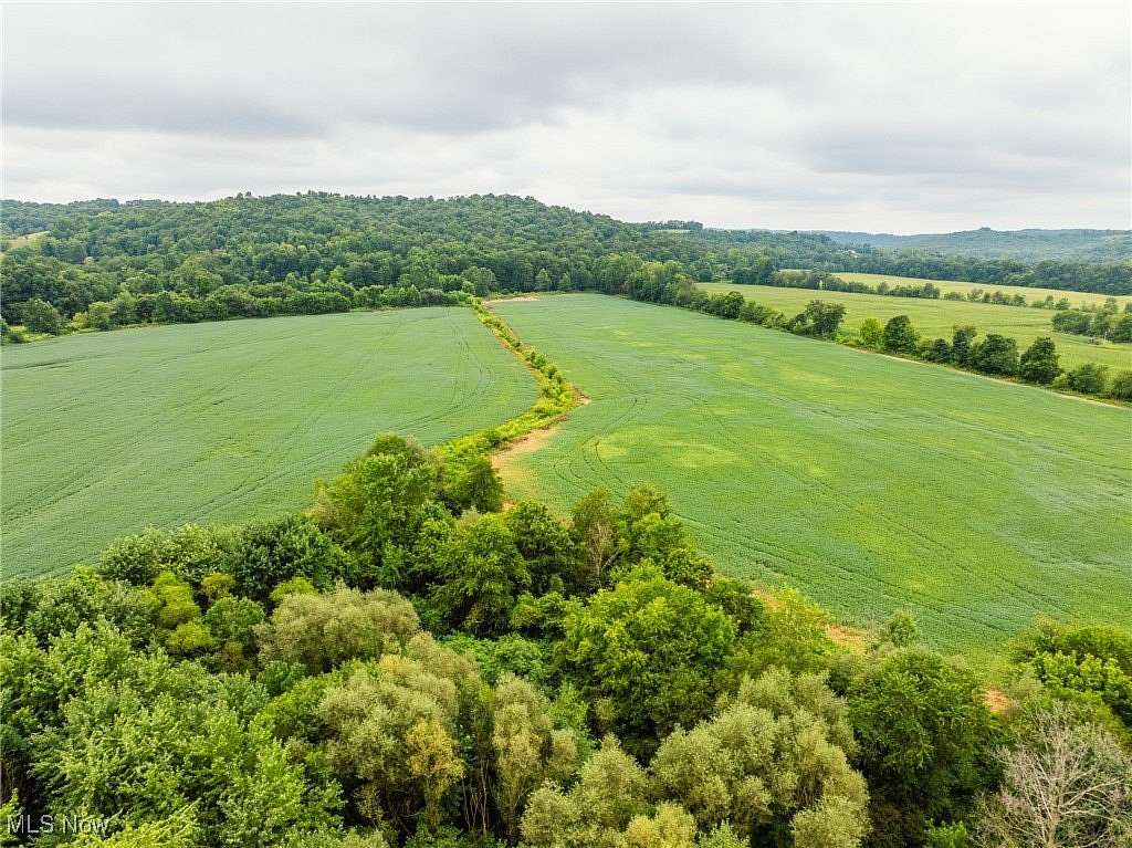 26.2 Acres of Agricultural Land for Auction in Coshocton, Ohio