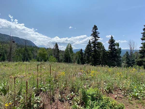 6.54 Acres of Residential Land for Sale in Chama, New Mexico