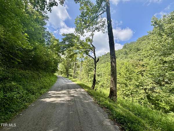 48.5 Acres of Agricultural & Residential Land for Sale in Jonesville, Virginia