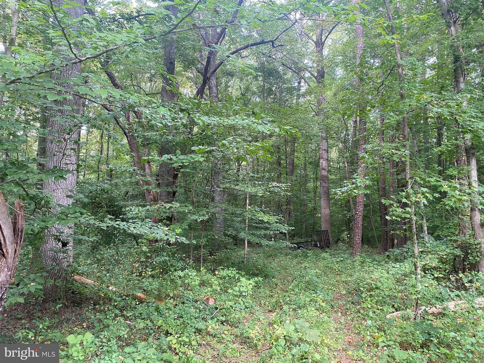 3.32 Acres of Residential Land for Sale in Easton, Maryland