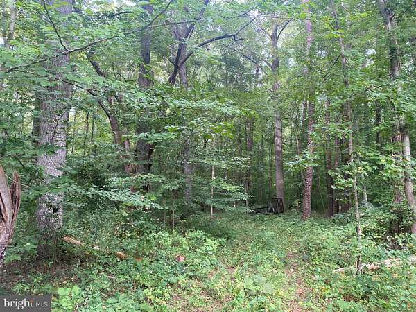 3.32 Acres of Residential Land for Sale in Easton, Maryland