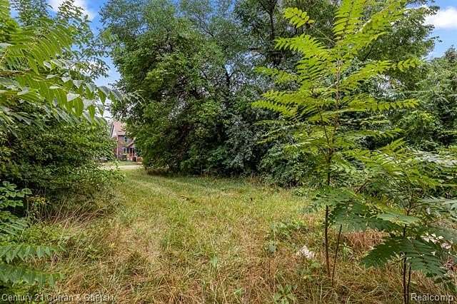 0.1 Acres of Residential Land for Sale in Detroit, Michigan