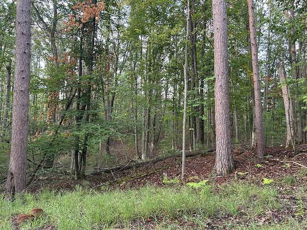 1.19 Acres of Residential Land for Sale in Hillman, Michigan