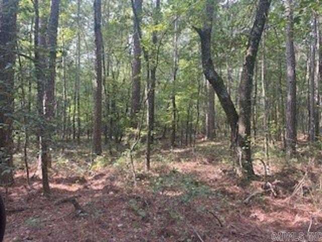 40 Acres of Recreational Land for Sale in Traskwood, Arkansas