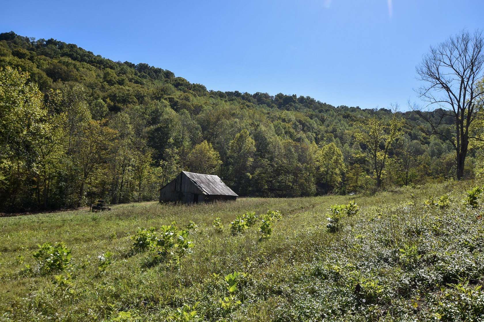 67.3 Acres of Land for Sale in Vanceburg, Kentucky