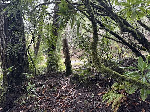 1.12 Acres of Land for Sale in North Bend, Oregon