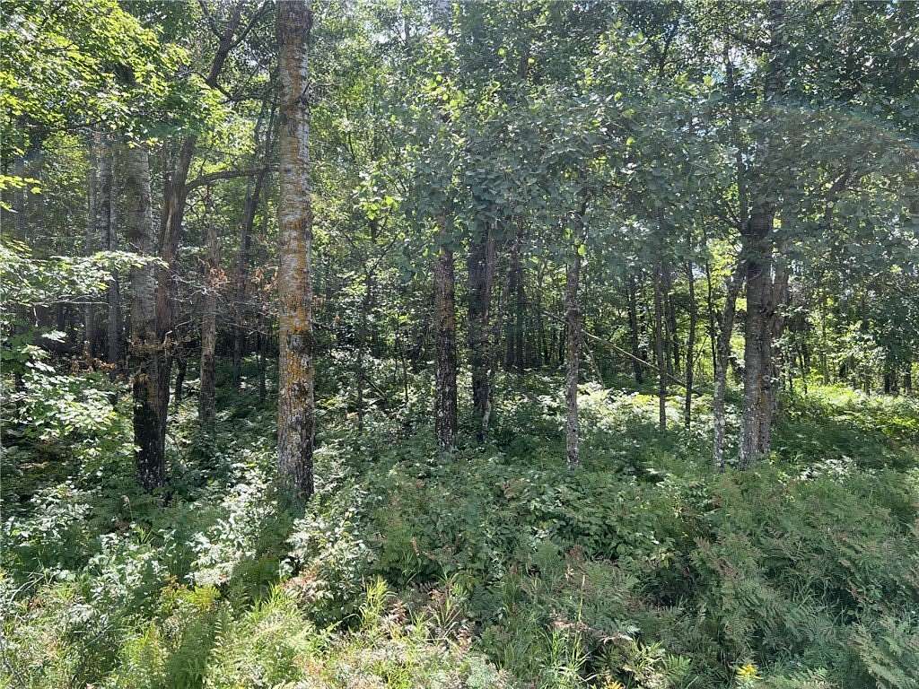 40 Acres of Recreational Land for Sale in Siren, Wisconsin