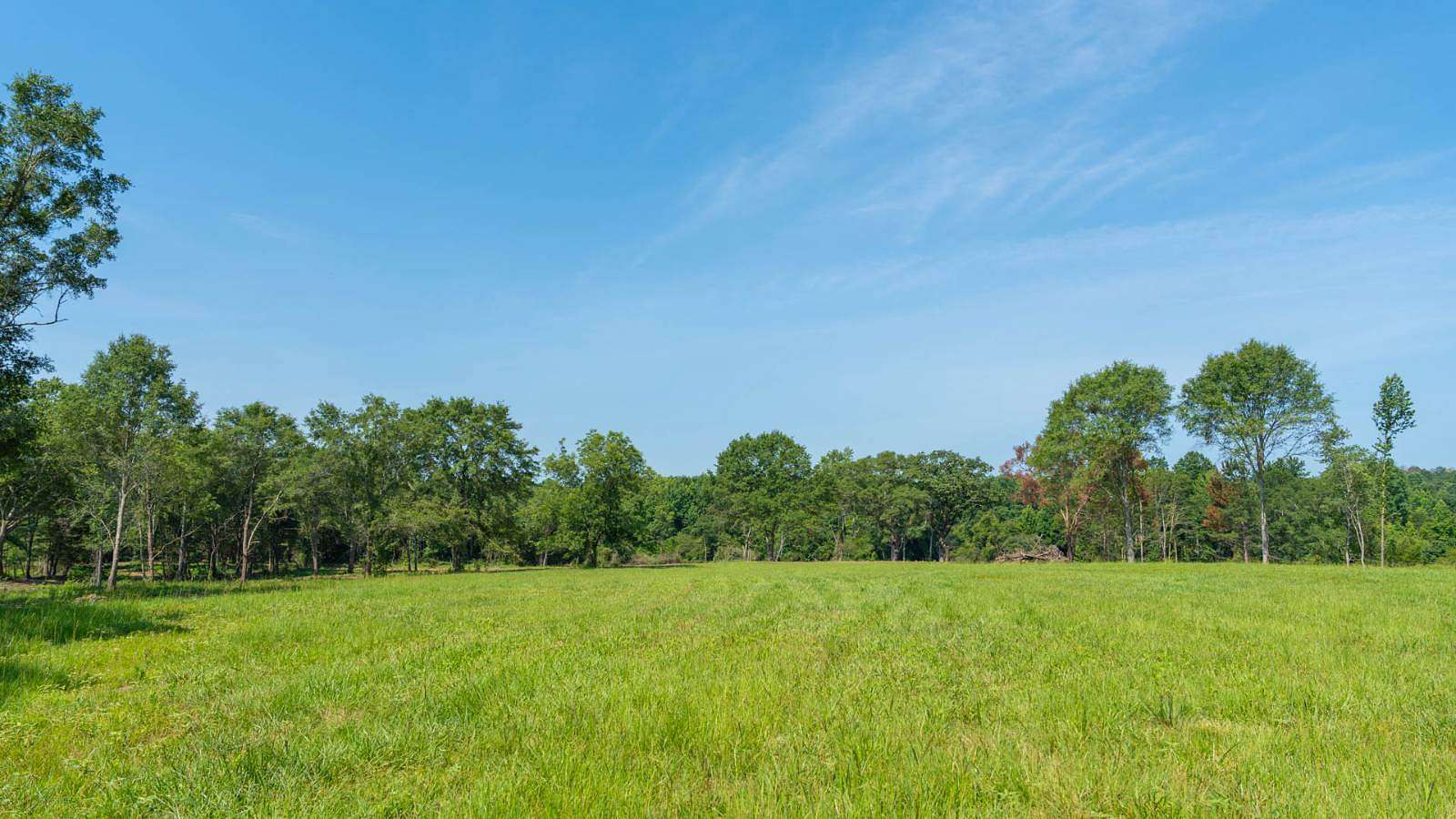 16.8 Acres of Land for Sale in Barnesville, Georgia