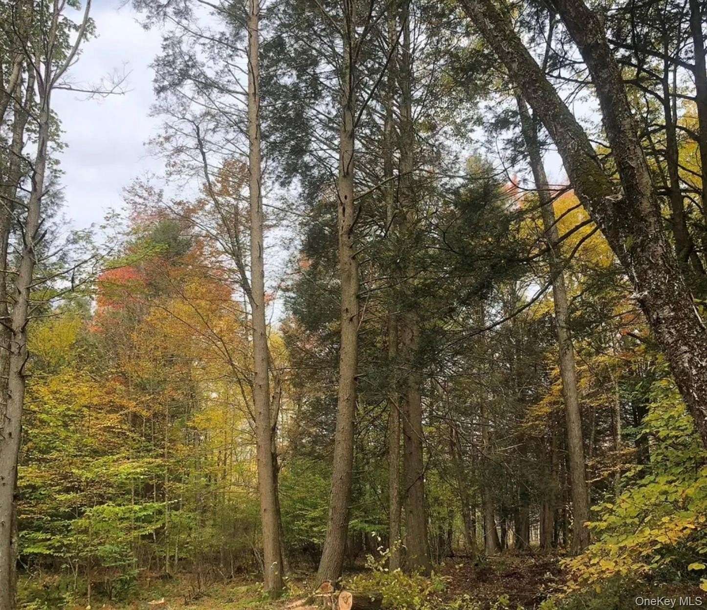 12 Acres of Recreational Land for Sale in Ferndale, New York