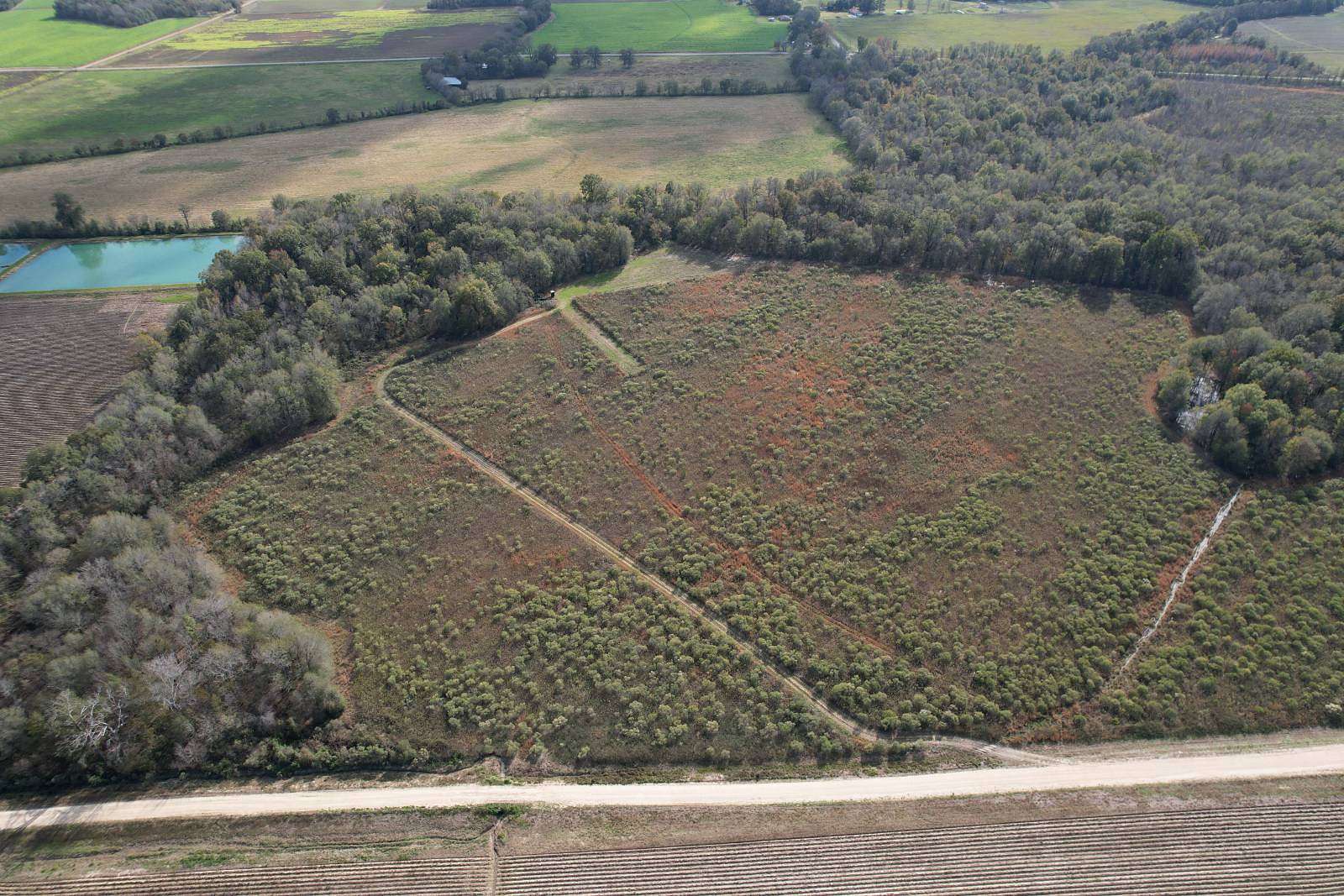 108 Acres of Recreational Land & Farm for Sale in Winnsboro, Louisiana