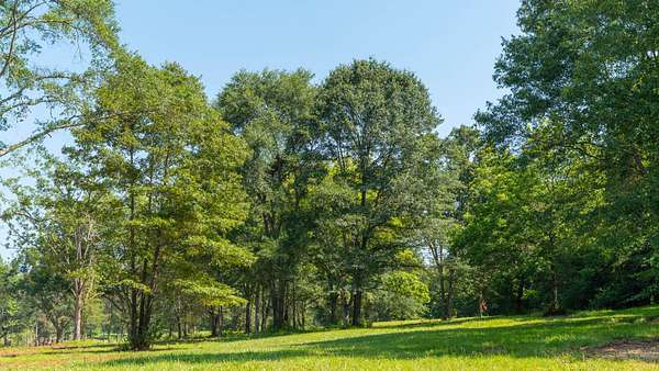 24.4 Acres of Land for Sale in Barnesville, Georgia