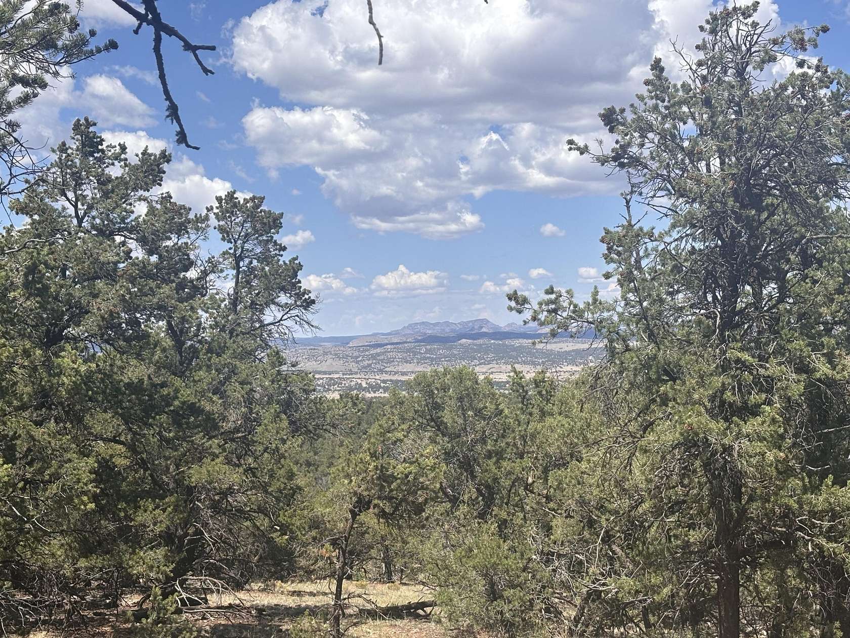 6.59 Acres of Residential Land for Sale in Datil, New Mexico