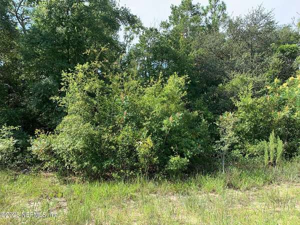 0.23 Acres of Land for Sale in Interlachen, Florida