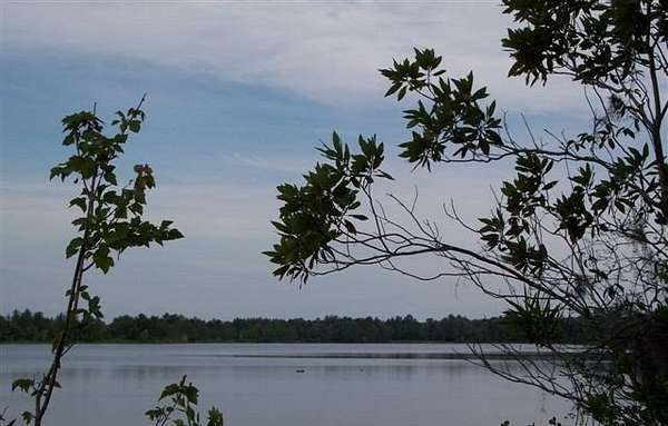 2.54 Acres of Residential Land for Sale in Naylor, Georgia