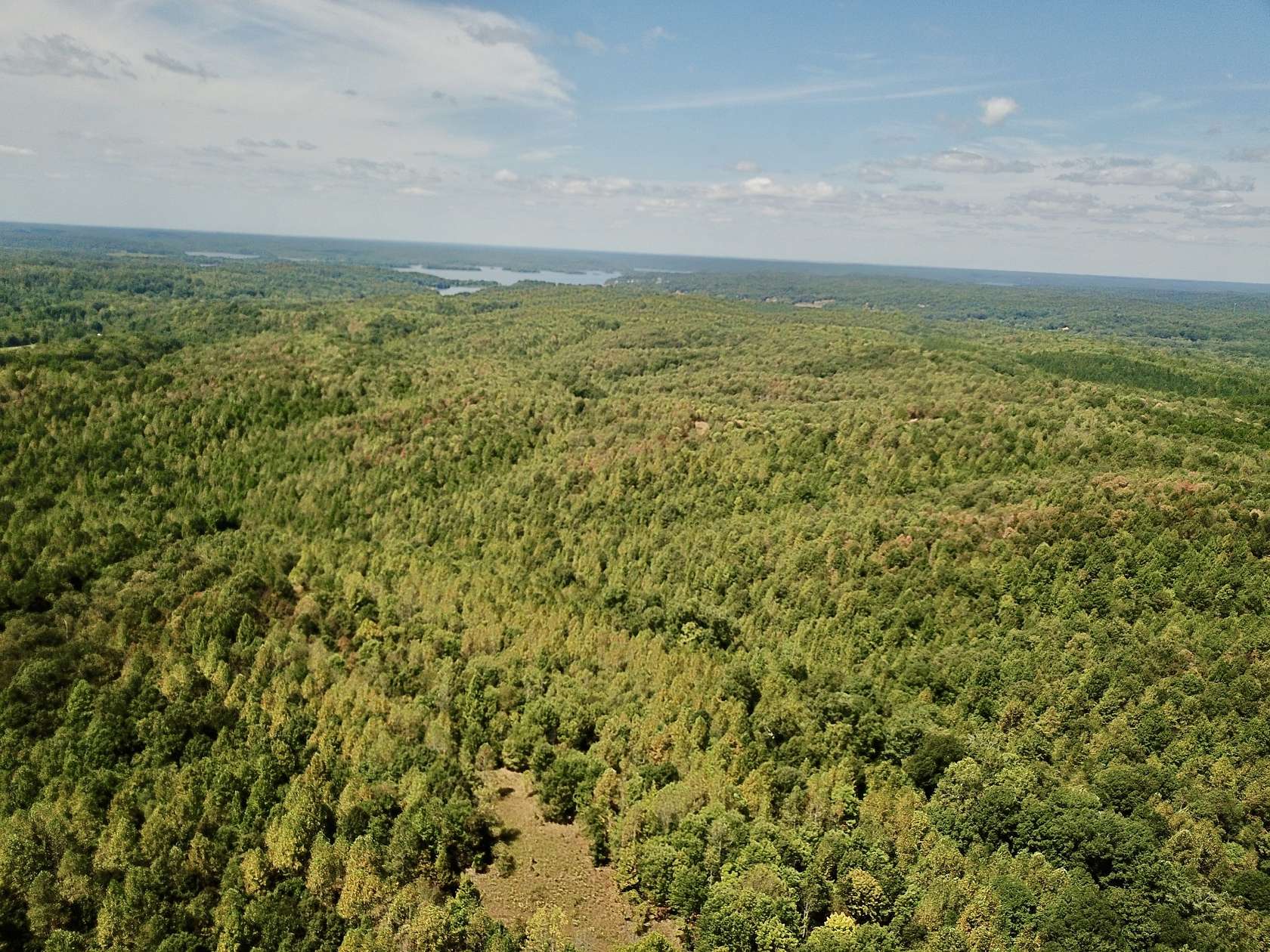 184 Acres of Recreational Land & Farm for Sale in Waverly, Tennessee