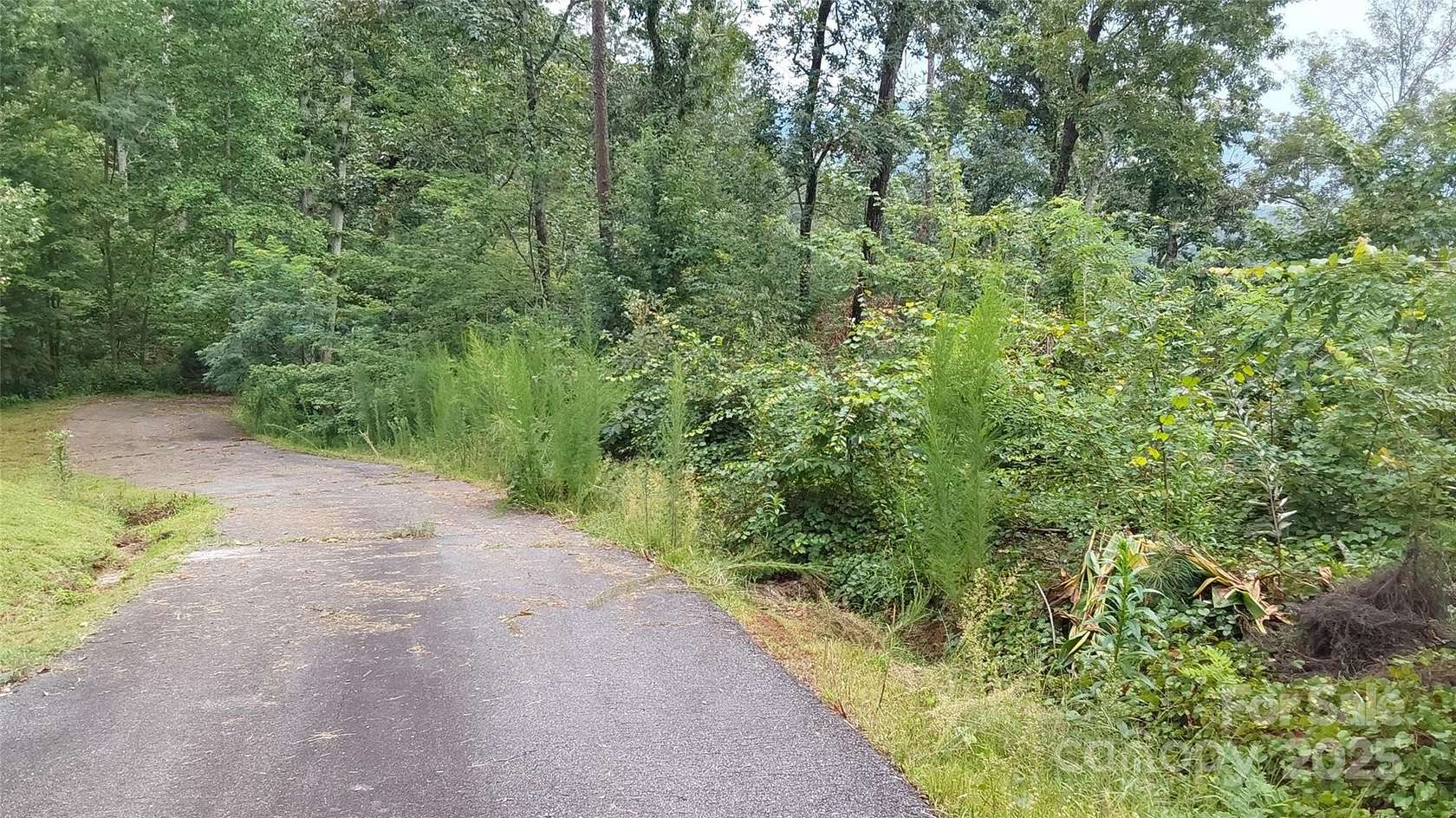 45.5 Acres of Land for Sale in Bostic, North Carolina