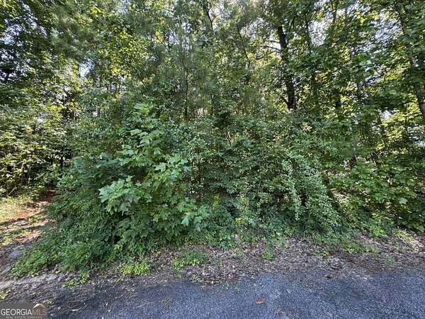 0.81 Acres of Residential Land for Sale in Macon, Georgia