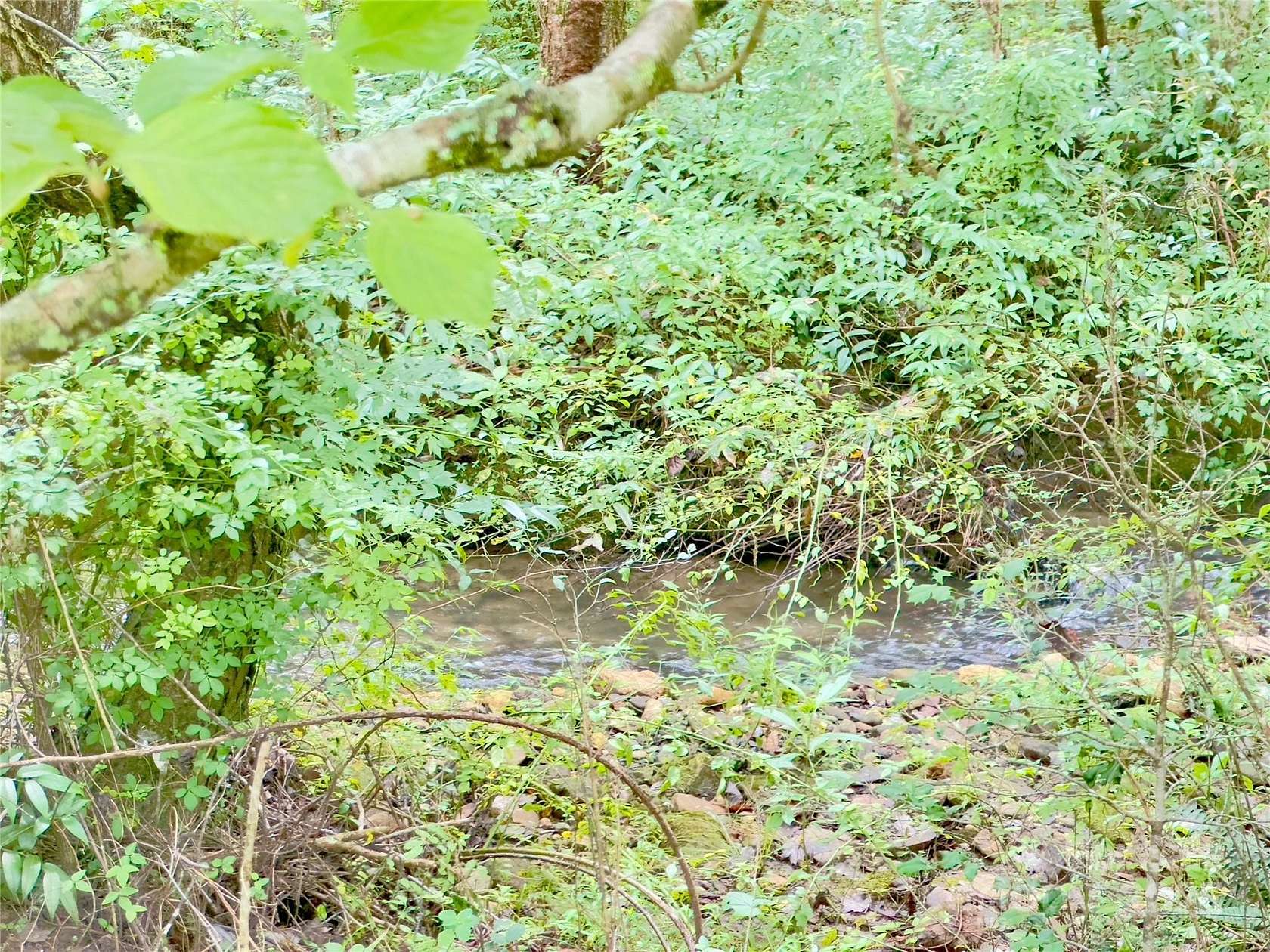 11.3 Acres of Recreational Land for Sale in Old Fort, North Carolina