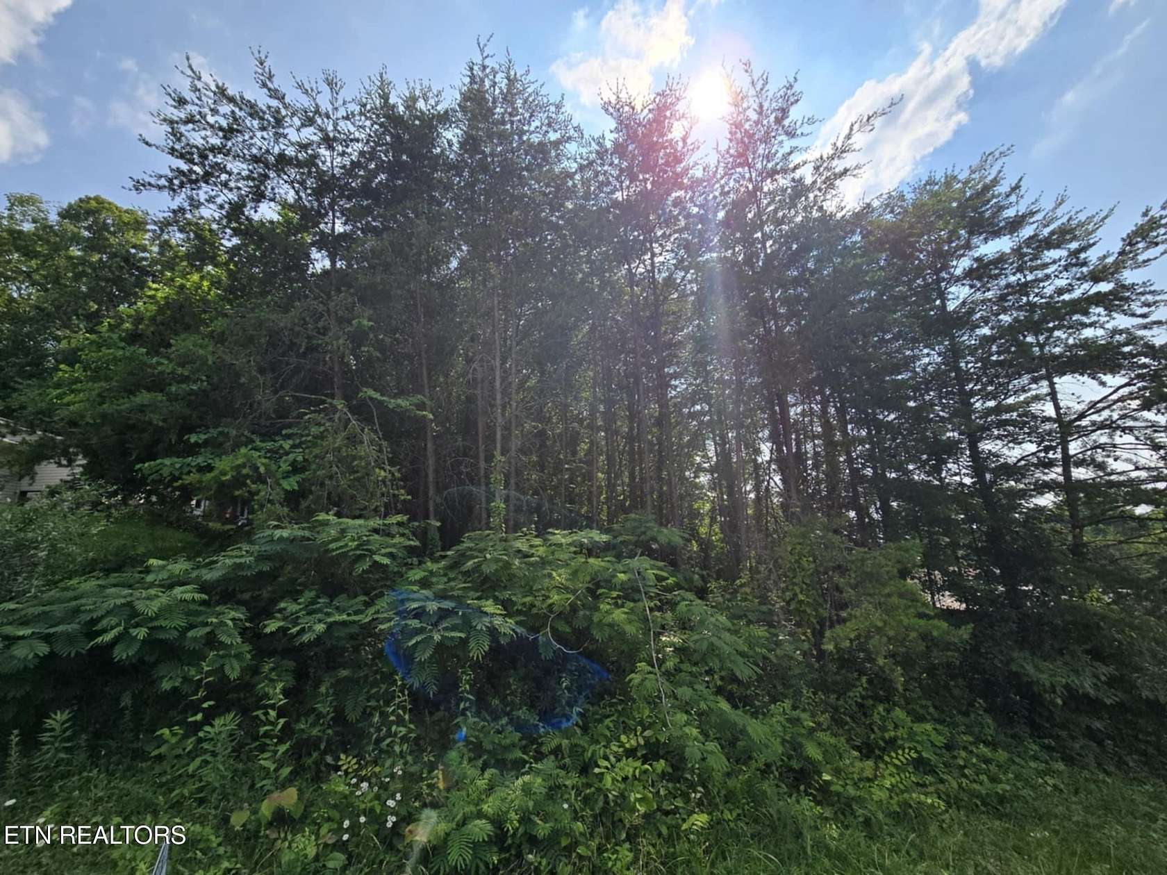 0.35 Acres of Residential Land for Sale in Morristown, Tennessee