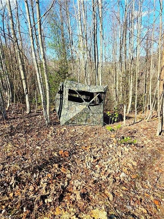 28 Acres of Recreational & Residential Land for Sale in Purlear, North Carolina