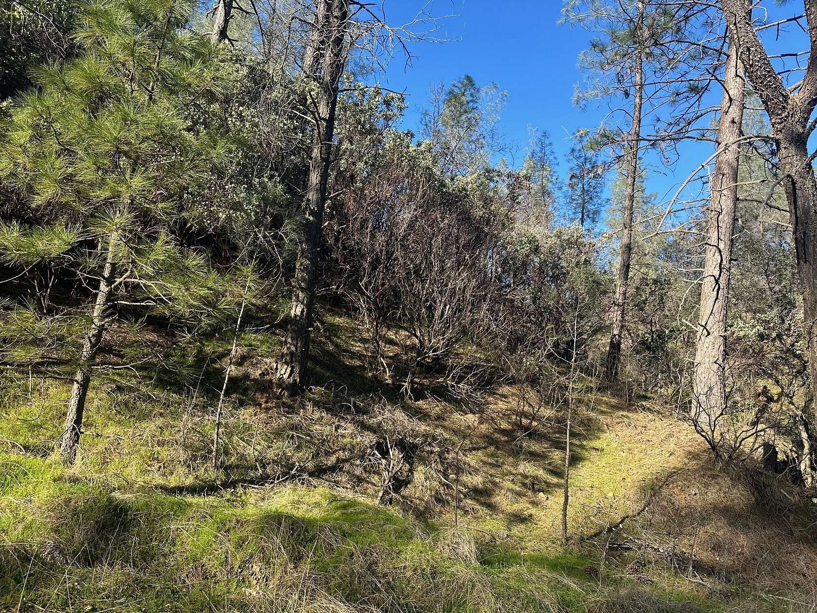 10 Acres of Residential Land for Sale in Bella Vista, California