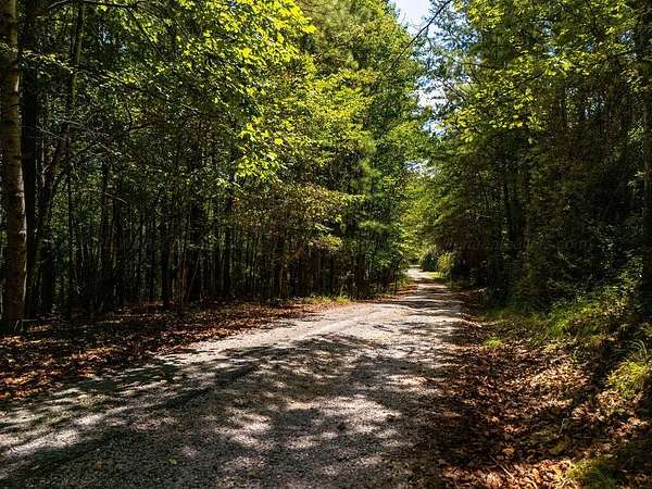 6.9 Acres of Residential Land for Sale in Jasper, Alabama