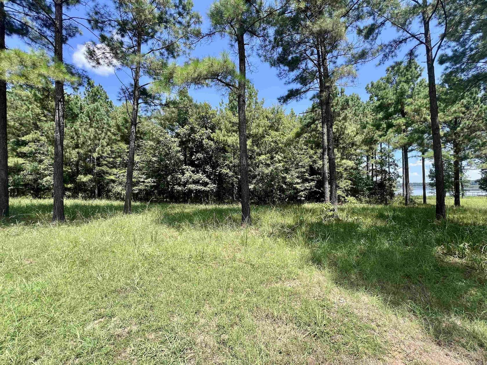 1.13 Acres of Residential Land for Sale in Lewisville, Arkansas