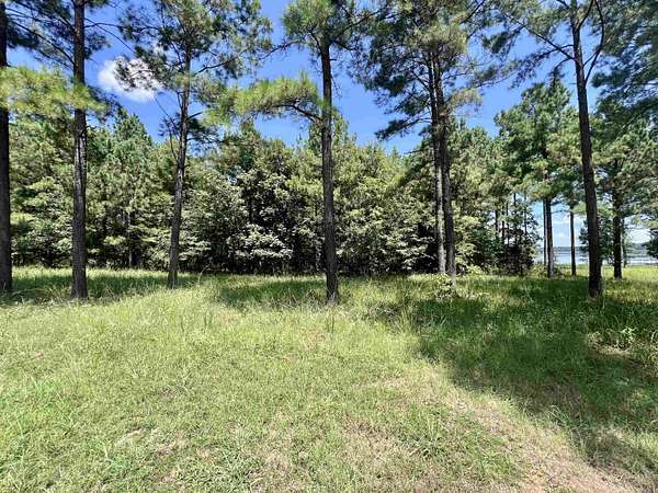 1.13 Acres of Land for Sale in Lewisville, Arkansas