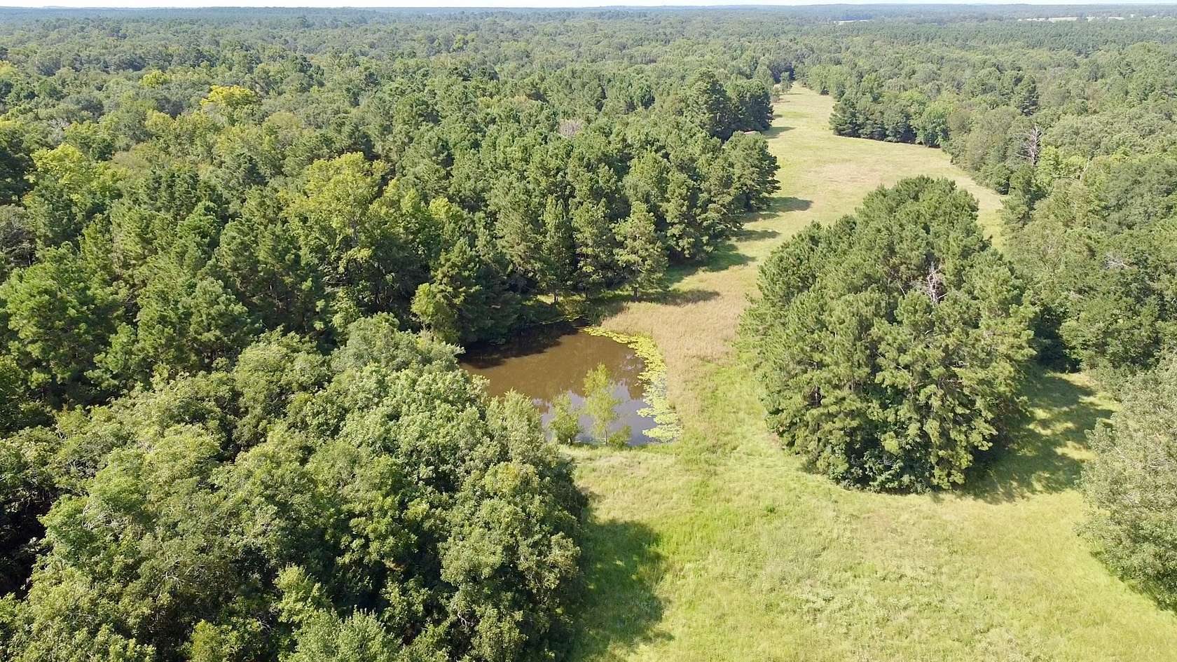 127 Acres of Improved Recreational Land & Farm for Sale in Lovelady, Texas