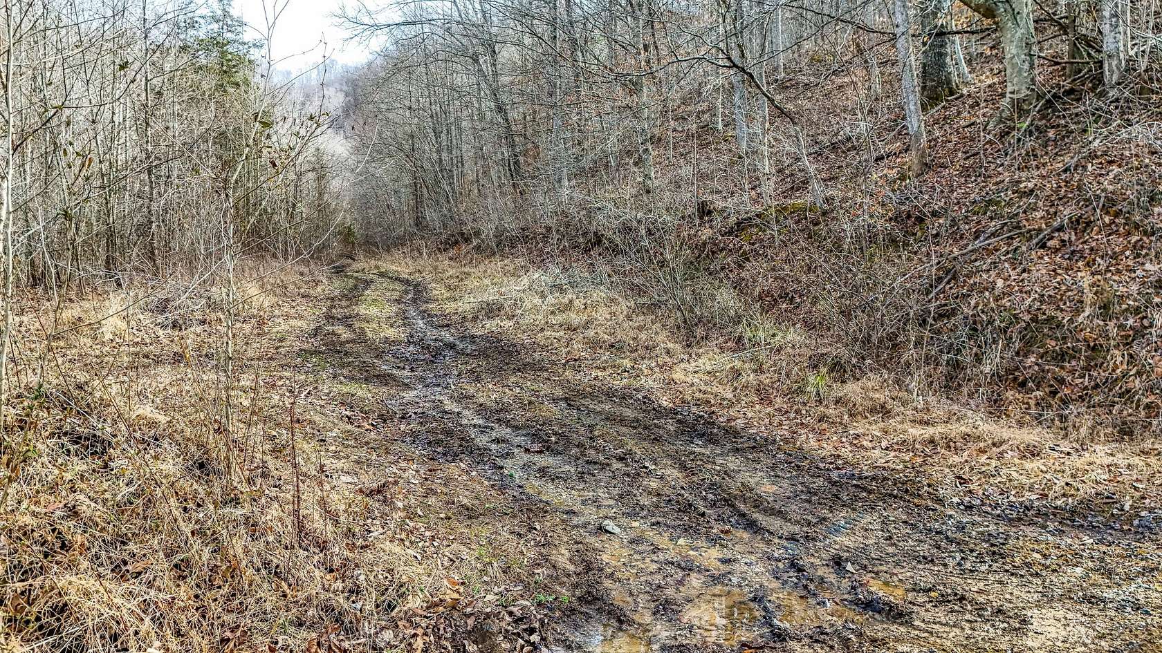 123 Acres of Recreational & Residential Land for Sale in Barbourville, Kentucky